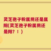 灵芝孢子粉属阴还是属阳(灵芝孢子粉属阴还是阳？！)
