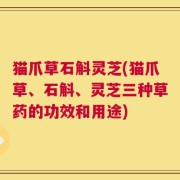 猫爪草石斛灵芝(猫爪草、石斛、灵芝三种草药的功效和用途)