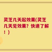 灵芝几天起效果(灵芝几天见效果？快速了解！)