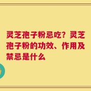 灵芝孢子粉忌吃？灵芝孢子粉的功效、作用及禁忌是什么