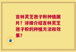 吉林灵芝孢子粉种植图片？详细介绍吉林灵芝孢子粉的种植方法和效果？