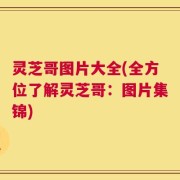 灵芝哥图片大全(全方位了解灵芝哥：图片集锦)