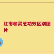 红枣和灵芝功效区别图片