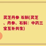 灵芝丹参 石斛(灵芝、丹参、石斛：中药三宝互补共生)