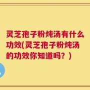 灵芝孢子粉炖汤有什么功效(灵芝孢子粉炖汤的功效你知道吗？)