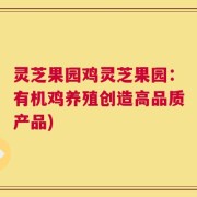 灵芝果园鸡灵芝果园：有机鸡养殖创造高品质产品)