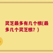 灵芝最多有几个根(最多几个灵芝根？)