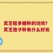 灵芝粗多糖粉的功效？灵芝孢子粉有什么好处
