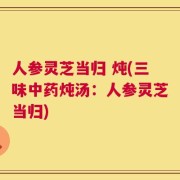 人参灵芝当归 炖(三味中药炖汤：人参灵芝当归)