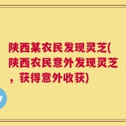 陕西某农民发现灵芝(陕西农民意外发现灵芝，获得意外收获)
