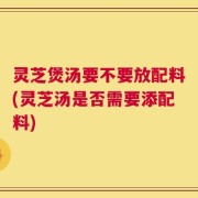 灵芝煲汤要不要放配料(灵芝汤是否需要添配料)