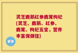 灵芝鹿筋红参鹿茸枸杞(灵芝、鹿筋、红参、鹿茸、枸杞五宝，营养丰富保健佳)