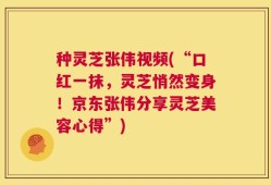 种灵芝张伟视频(“口红一抹，灵芝悄然变身！京东张伟分享灵芝美容心得”)