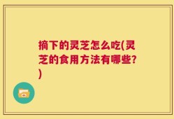 摘下的灵芝怎么吃(灵芝的食用方法有哪些？)