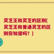 灵芝王和灵芝的区别(灵芝王和普通灵芝的区别你知道吗？)