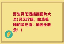 野生灵芝酒插画图片大全(灵芝珍馐，酿造美味的灵芝酒：插画全收录！)