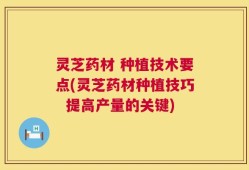 灵芝药材 种植技术要点(灵芝药材种植技巧  提高产量的关键)