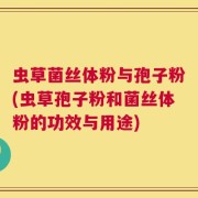 虫草菌丝体粉与孢子粉(虫草孢子粉和菌丝体粉的功效与用途)