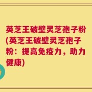 英芝王破壁灵芝孢子粉(英芝王破壁灵芝孢子粉：提高免疫力，助力健康)