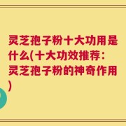 灵芝孢子粉十大功用是什么(十大功效推荐：灵芝孢子粉的神奇作用)