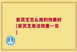 紫灵芝怎么用的效果好(紫灵芝用法效果一览)