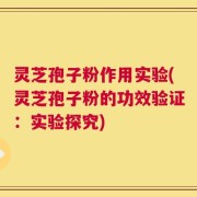 灵芝孢子粉作用实验(灵芝孢子粉的功效验证：实验探究)