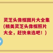 灵芝头像框图片大全集(精美灵芝头像框照片大全，赶快来选吧！)