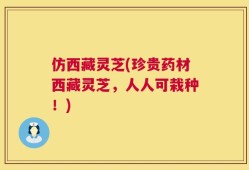 仿西藏灵芝(珍贵药材西藏灵芝，人人可栽种！)
