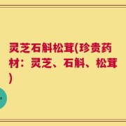 灵芝石斛松茸(珍贵药材：灵芝、石斛、松茸)