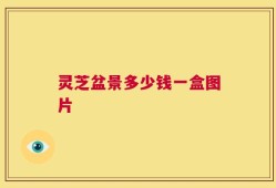 灵芝盆景多少钱一盒图片