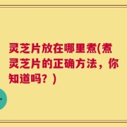 灵芝片放在哪里煮(煮灵芝片的正确方法，你知道吗？)