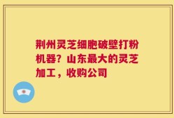 荆州灵芝细胞破壁打粉机器？山东最大的灵芝加工，收购公司