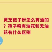 灵芝孢子粉怎么有油的？孢子粉有油花和无油花有什么区别