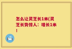怎么让灵芝长1米(灵芝长势惊人：增长1米！