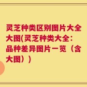 灵芝种类区别图片大全大图(灵芝种类大全：品种差异图片一览（含大图）)
