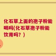化石草上面的孢子粉能喝吗(化石草孢子粉能饮用吗？)