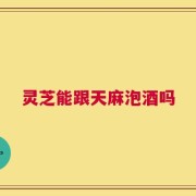 灵芝能跟天麻泡酒吗