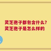 灵芝孢子都包含什么？灵芝孢子是怎么样的