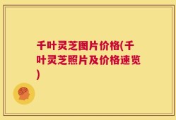 千叶灵芝图片价格(千叶灵芝照片及价格速览)