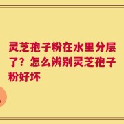 灵芝孢子粉在水里分层了？怎么辨别灵芝孢子粉好坏