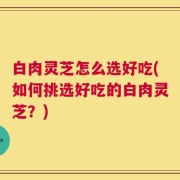 白肉灵芝怎么选好吃(如何挑选好吃的白肉灵芝？)