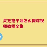 灵芝孢子油怎么提炼视频教程全集