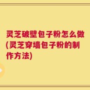 灵芝破壁包子粉怎么做(灵芝穿墙包子粉的制作方法)