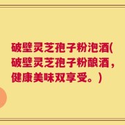 破壁灵芝孢子粉泡酒(破壁灵芝孢子粉酿酒，健康美味双享受。)