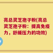 亮总灵芝孢子粉(亮总灵芝孢子粉：提高免疫力，舒缓压力的功效)