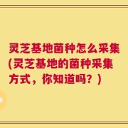 灵芝基地菌种怎么采集(灵芝基地的菌种采集方式，你知道吗？)