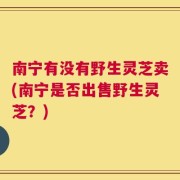 南宁有没有野生灵芝卖(南宁是否出售野生灵芝？)