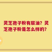 灵芝孢子粉有层油？灵芝孢子粉是怎么样的？