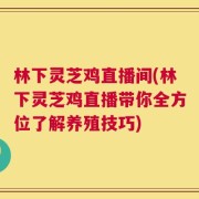 林下灵芝鸡直播间(林下灵芝鸡直播带你全方位了解养殖技巧)