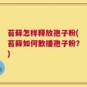 苔藓怎样释放孢子粉(苔藓如何散播孢子粉？)